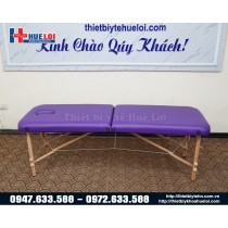 Giường châm cứu xoa bóp bấm huyệt dạng vali HL3